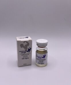 10x Testo P 100